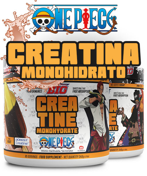 Creatina One Piece Big 340 g